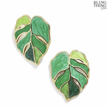 Monstera Minis